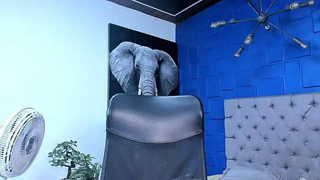 andres-clark92 online show from 10/26/25, 06:14