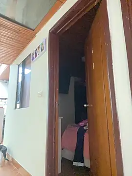 juliana-mancini online show from 01/08/26, 06:21