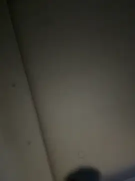 ALANNFERRER online show from 11/22/25, 10:14