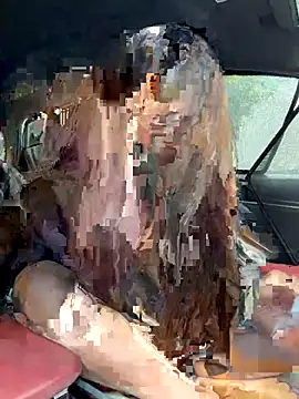 Snapshot of Linh_2004 chatting on 12/04/25, 05:28 Linh 2004 online show from 12/04/25, 05:28