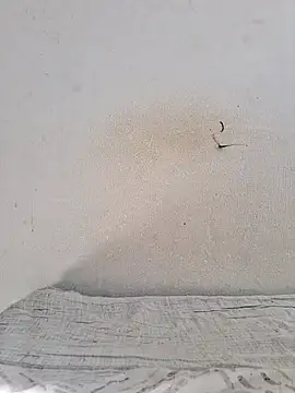 jujuhpimenta online show from 11/12/25, 11:21