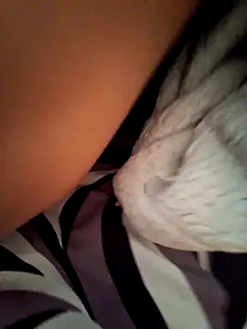 BooingCabalist online show from 03/10/26, 05:45