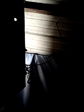 ShawnandDani7074 online show from 04/14/26, 07:47