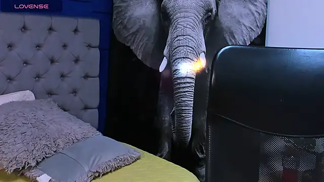 rocoo santos online show from 10/10/25, 12:09