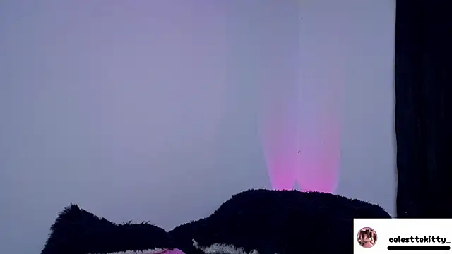 celestte evans 1 online show from 03/06/26, 04:20