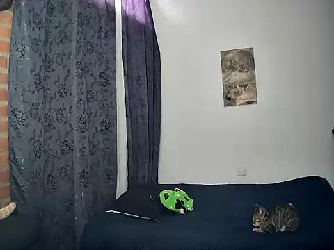 juantalents online show from 10/15/25, 02:39