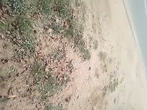 SAManthapathmasri online show from 11/17/25, 07:47