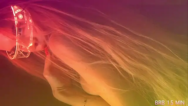 Alvuwkaa online show from 04/07/26, 01:00