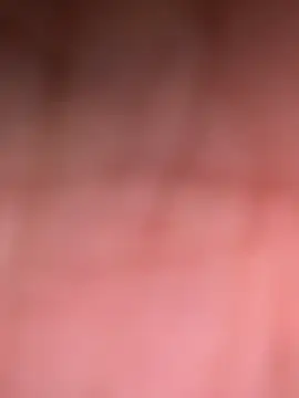 ninjabod online show from 10/30/25, 08:20