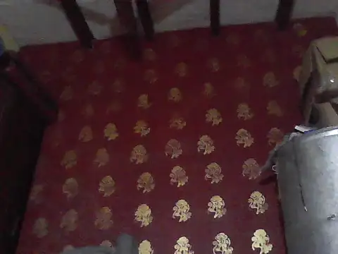 ursdreamperson online show from 02/03/26, 05:05