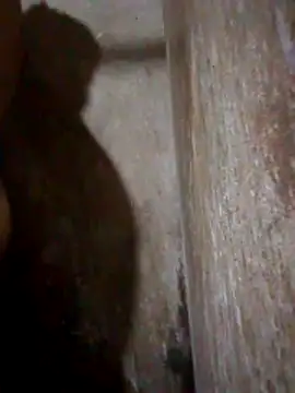 Lujor online show from 04/11/26, 07:18