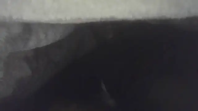 cuminsidebby online show from 04/30/26, 05:36