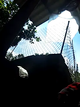 Bibilenu online show from 10/05/25, 04:22