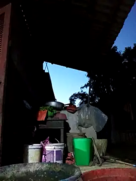 Bibilenu online show from 10/19/25, 11:00