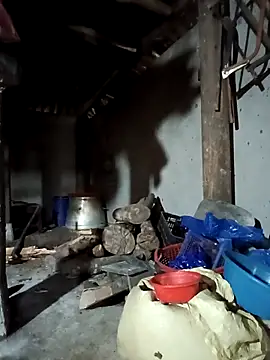 Exembin online show from 09/17/25, 03:08