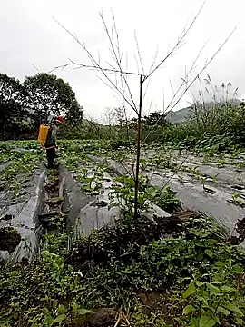 Exembin online show from 10/24/25, 01:57