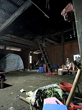 Exembin online show from 11/08/25, 09:42