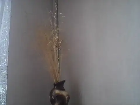Littlecatme online show from 07/21/26, 07:32