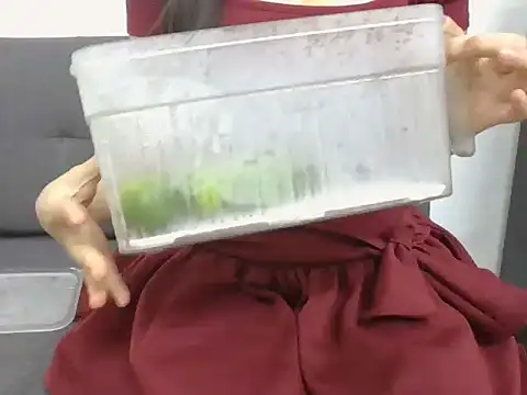 hoanghoangli online show from 07/05/26, 03:02
