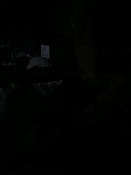 Reeelo online show from 12/15/25, 04:06