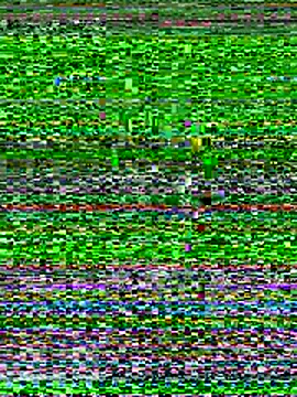 Emaline Fane online show from 12/19/25, 06:15