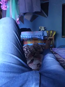 m11a2f3a4z5 online show from 03/29/26, 10:15