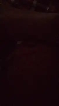 wanderboy1000 online show from 01/19/26, 03:05