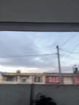 Sallem Pink online show from 03/13/26, 11:17