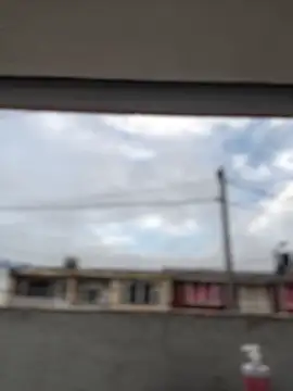 Sallem Pink online show from 03/19/26, 11:14