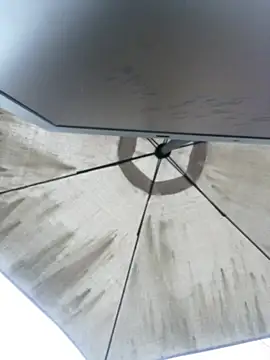 Sallem Pink online show from 04/04/26, 11:18