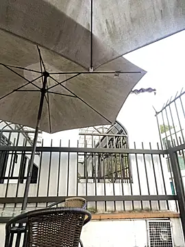 Sallem Pink online show from 04/20/26, 11:13