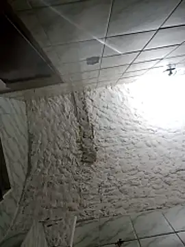 BrenoAvelar online show from 12/21/25, 01:57