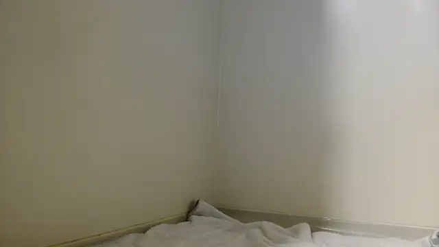 shint-11 online show from 10/19/25, 11:44