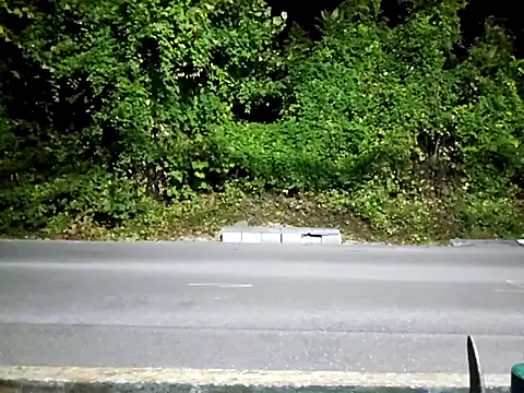 sloppytopkins online show from 09/15/25, 06:35