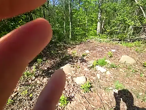 sloppytopkins online show from 04/20/26, 02:42