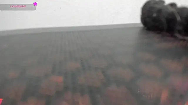 FluffyMelons online show from 04/01/26, 11:02