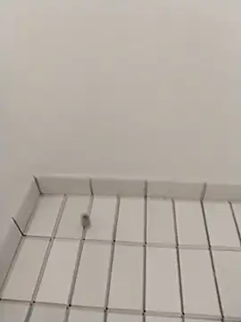 Ajayy01 online show from 10/31/25, 07:42