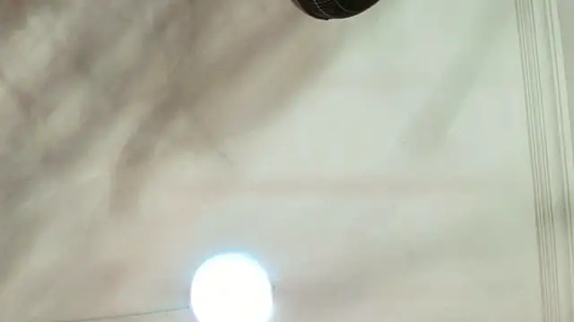 Dixie grey1 online show from 09/13/25, 01:33