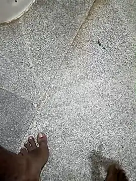 indian pavi online show from 12/22/25, 04:09