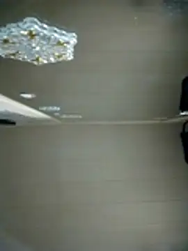 N i k o l a u online show from 04/08/26, 03:56