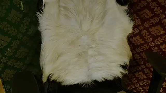 JUSTFORRICH online show from 04/20/26, 03:48