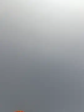 Cut rajbati online show from 11/29/25, 06:16