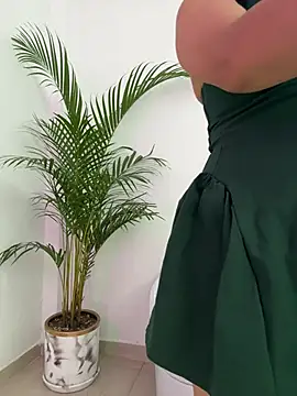 Ariana2017 online show from 02/24/26, 03:32