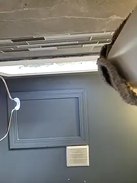 chocolate bella online show from 03/28/26, 12:49