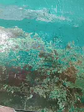 Snapshot of Love-pari077 chatting on 10/02/25, 07:04 Love-pari077 online show from 10/02/25, 07:04