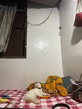 HugeRosalindaGoddess online show from 12/04/25, 03:32