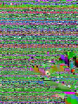 amnnnnnnnnnnn online show from 12/05/25, 12:30