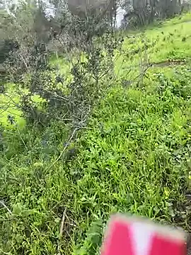 Yasar-Xxxl online show from 03/06/26, 03:52