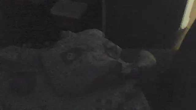 sarahkat86 online show from 11/13/25, 02:05