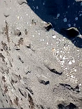 sarahkat86 online show from 11/14/25, 06:28